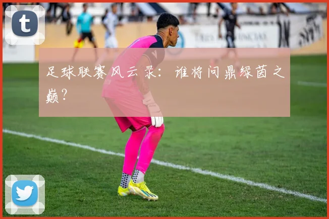 足球联赛风云录:谁将问鼎绿茵之巅?